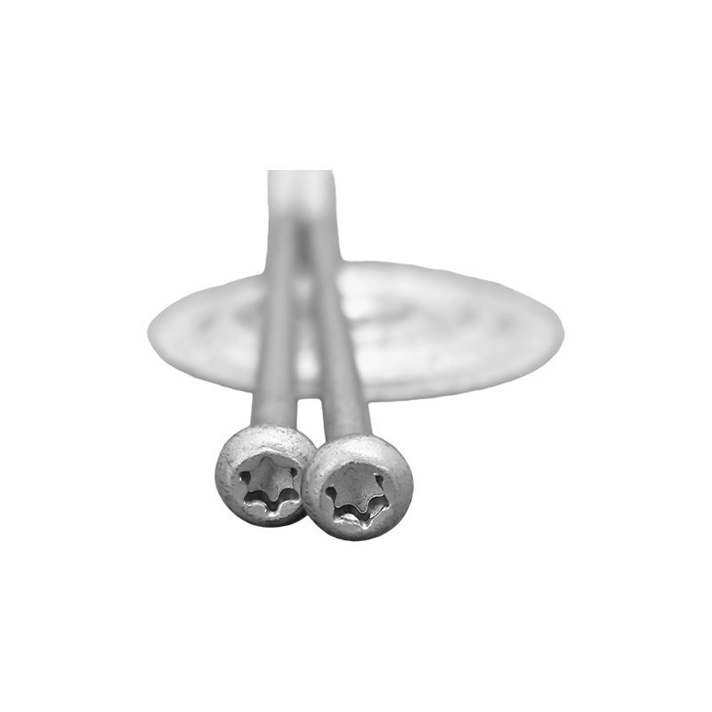 Corrosiewerende en waterdichte bevestigingsschroeven Corrosiewerende en waterdichte bevestigingsschroeven